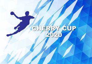 チェリーカップ第28回東日本小学生ハンドボール大会